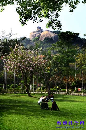 �չ����µ��̲�ƺ��������Ϣ�ĺõط�