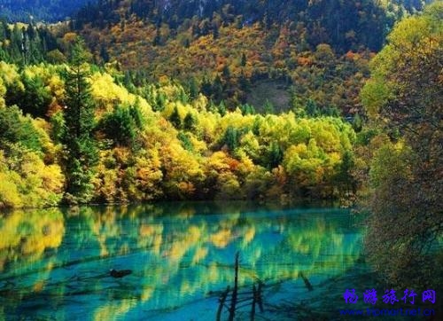 全球二十大最美红叶景区:五彩斑斓犹如仙境(多图)