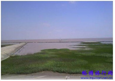 春天到了,上海最适合看书的十个地方