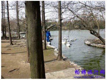 春天到了,上海最适合看书的十个地方