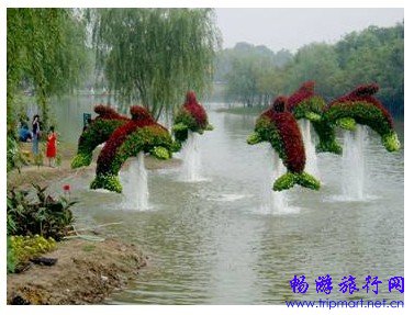 春天到了,上海最适合看书的十个地方
