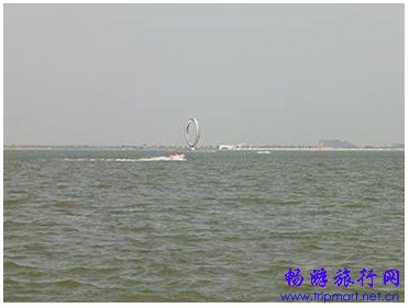 春天到了,上海最适合看书的十个地方
