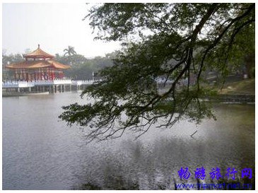 春天到了,上海最适合看书的十个地方