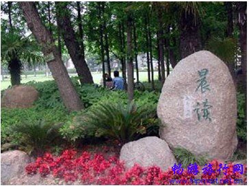 春天到了,上海最适合看书的十个地方