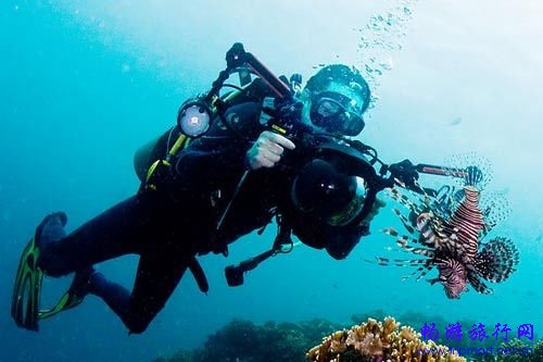 潜水斐济 潜水斐济