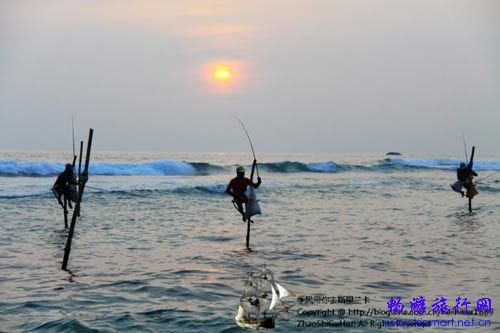 新浪旅游配图:海中垂钓 摄影: 新浪旅游配图:海中垂钓 摄影: