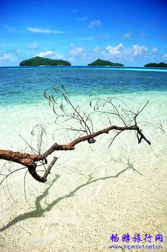 太平洋岛国特有的热带景致 太平洋岛国特有的热带景致